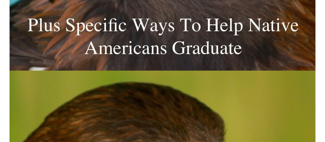 155 Things To Say and Do To Help All Students Graduate